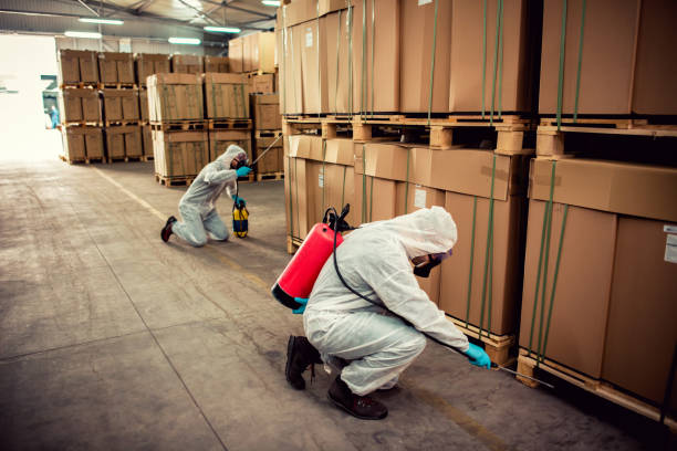 Best Rat Extermination Near Me  in Clermont, IN