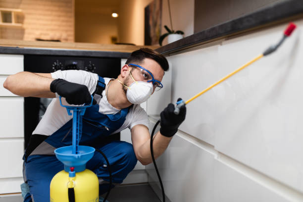 Best Residential Pest Control  in Clermont, IN