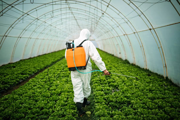 Best Best Pest Control Companies  in Clermont, IN