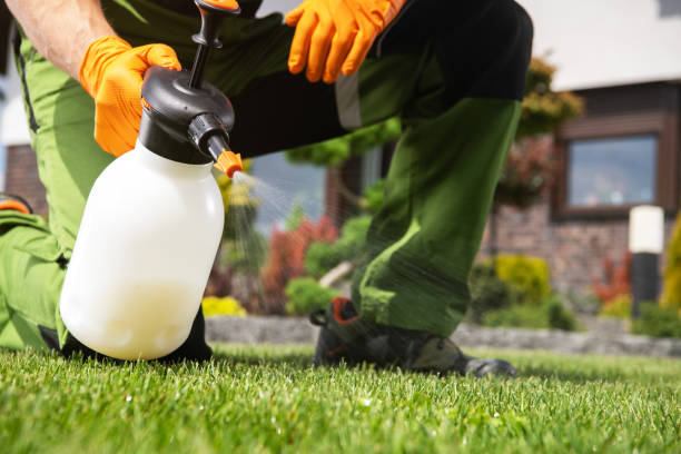 Best Affordable Pest Control Services  in Clermont, IN