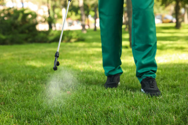 Best Pest Control Near Me in Clermont, IN