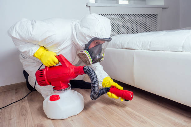 Best Wasp Removal Services  in Clermont, IN