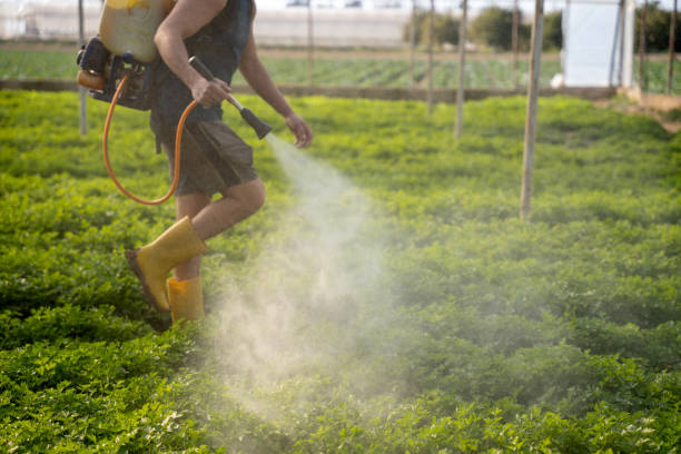 Best Wildlife Control Services  in Clermont, IN